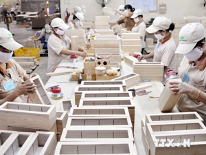 Vietnam’s economic situation introduced at WTO Public Forum